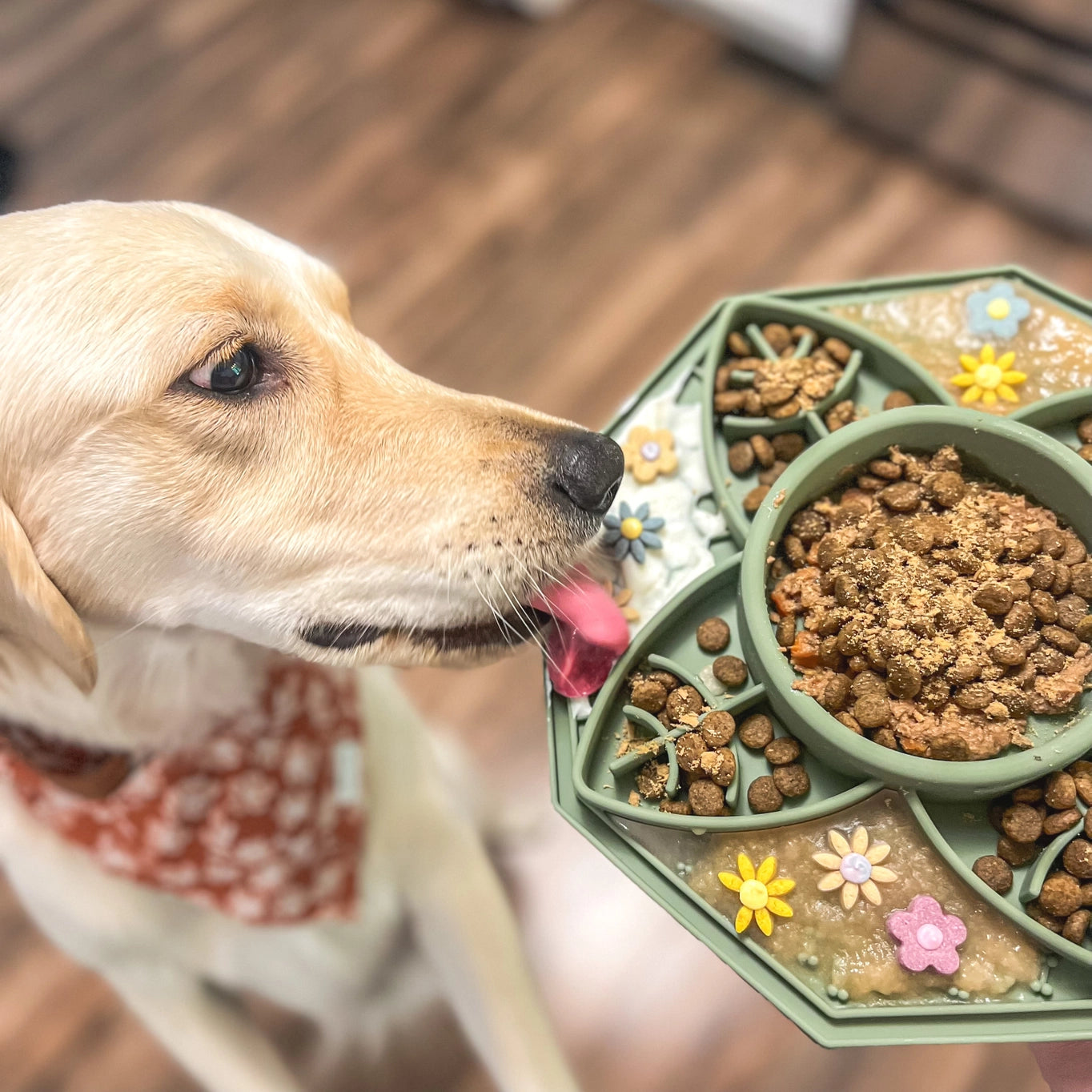 Boho Enrichment Feeder