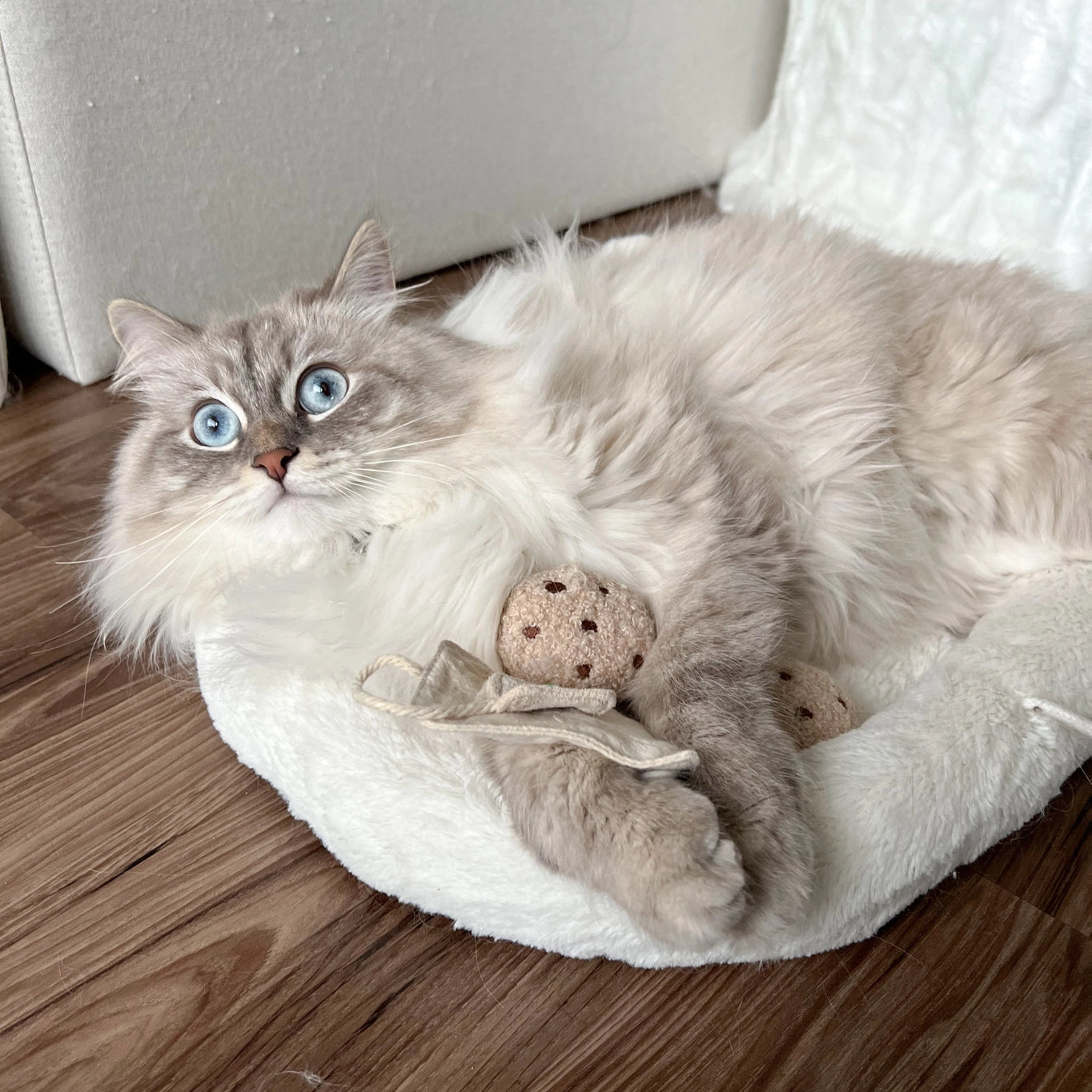 Lambwolf Collective Kitty Tea Time