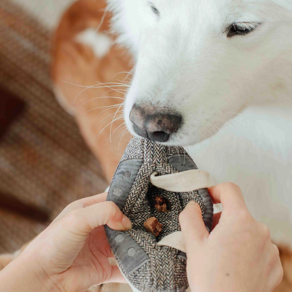 Lambwolf Collective - Cassette Enrichment Dog Toy