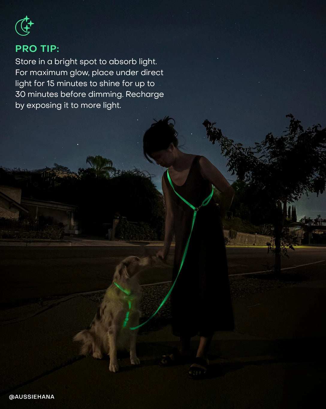 Sunny Tails Glow In The Dark 5 ft Leash