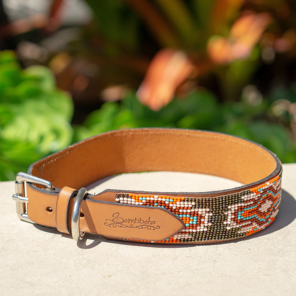 Boho Chic Sambboho Dog Collar
