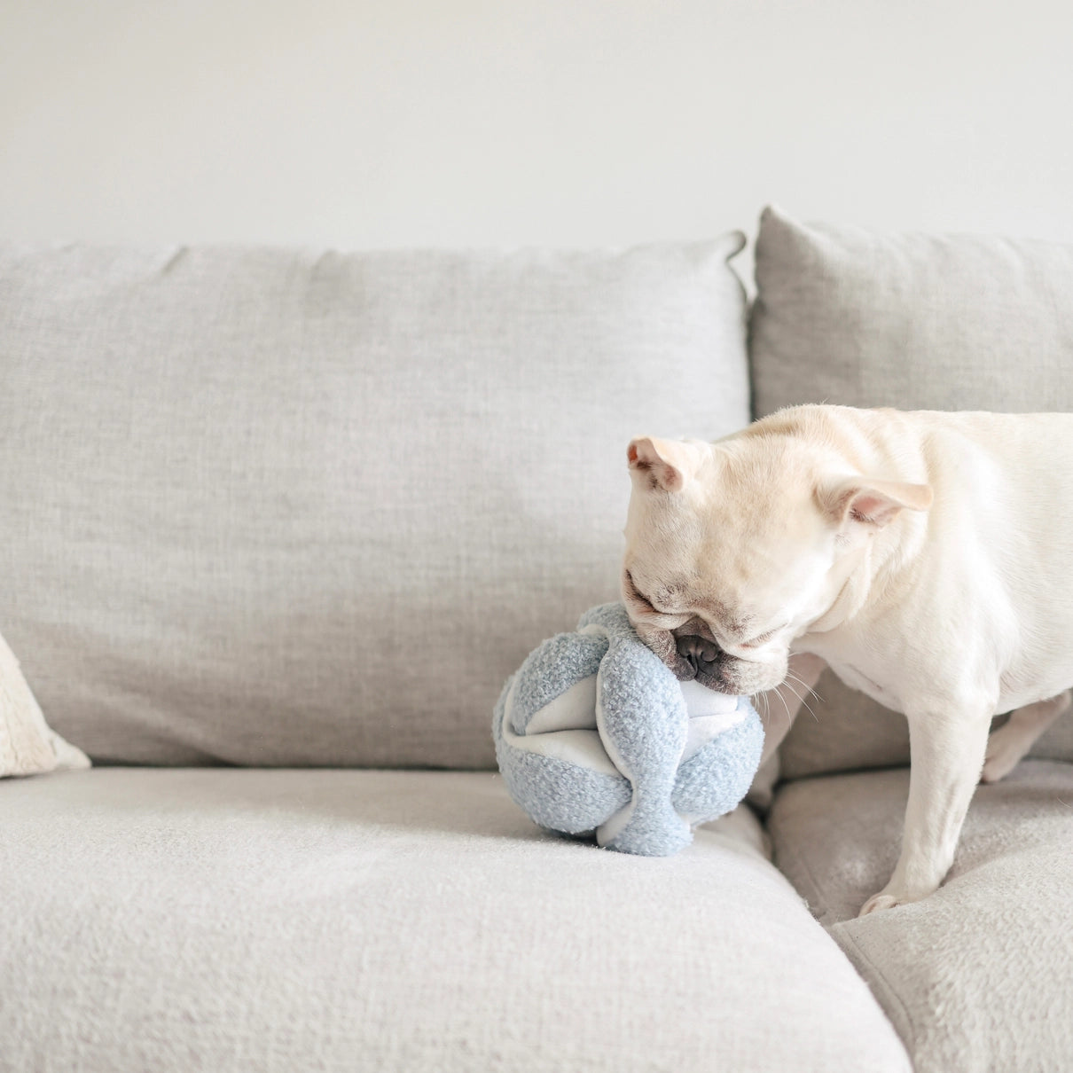 Lambwolf Collective Monti Enrichment Dog Toy