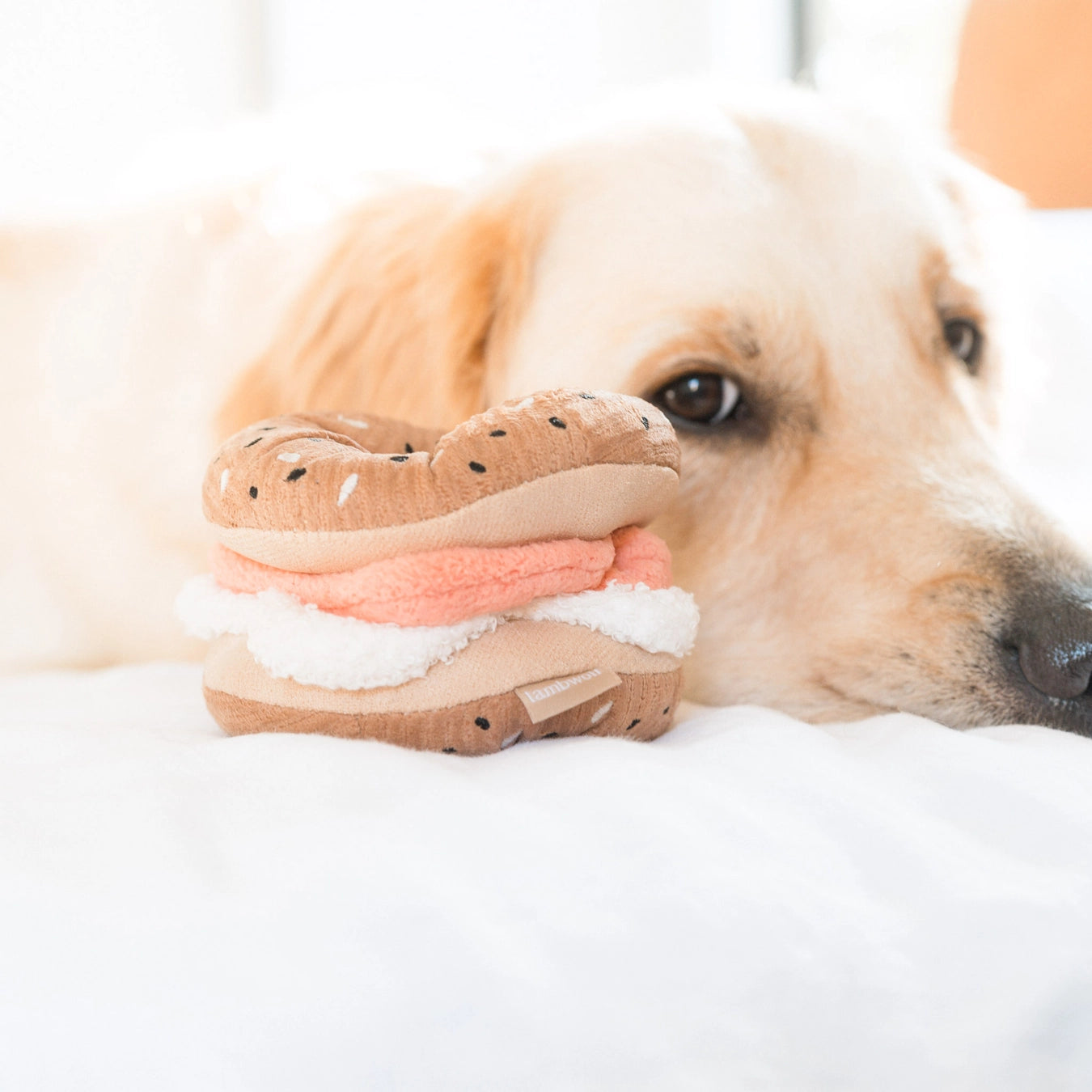Lambwolf Collective Bagel + Pickle Enrichment Toy