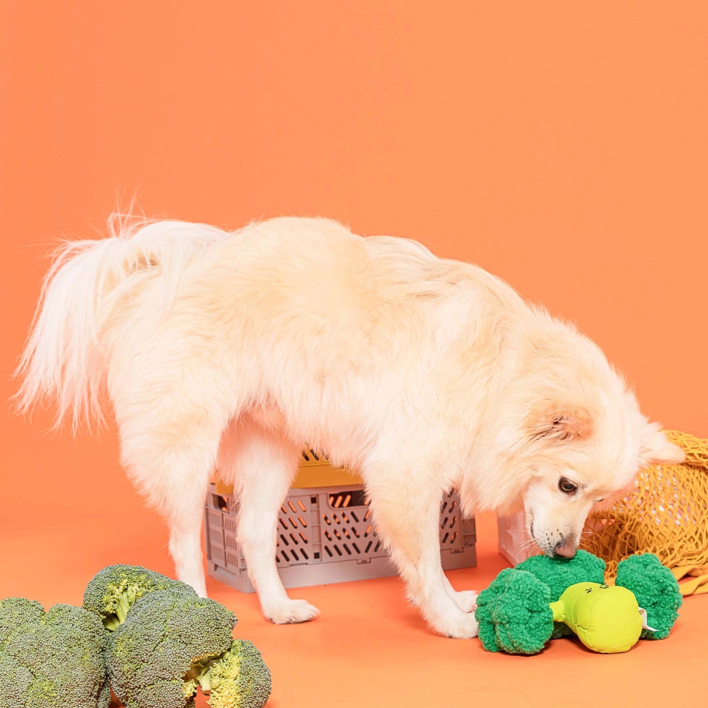 The Furry Folks Broccoli Nose Work Toy