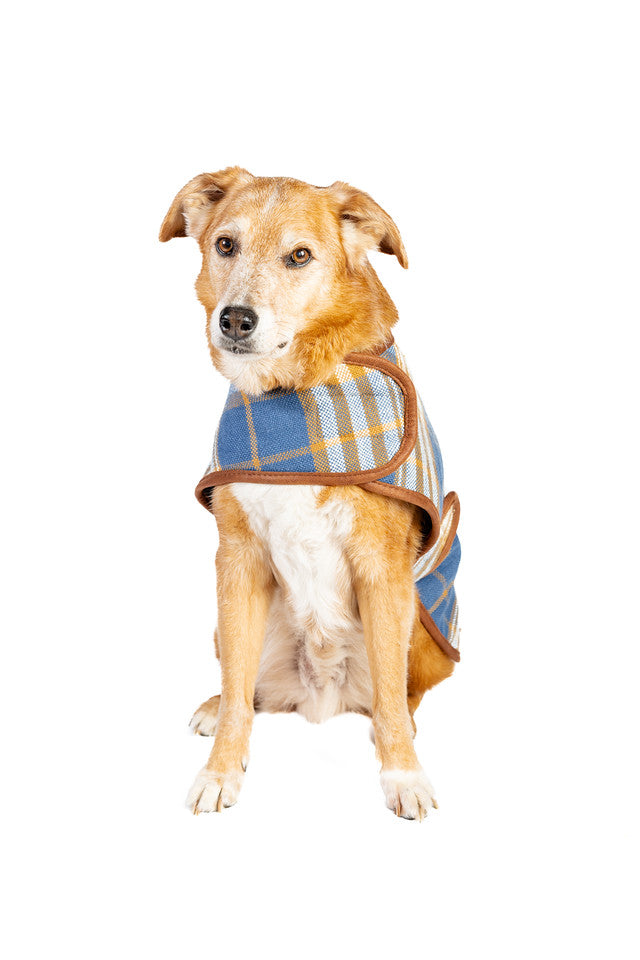 Chilly Dog Western Plaid Dog Coat