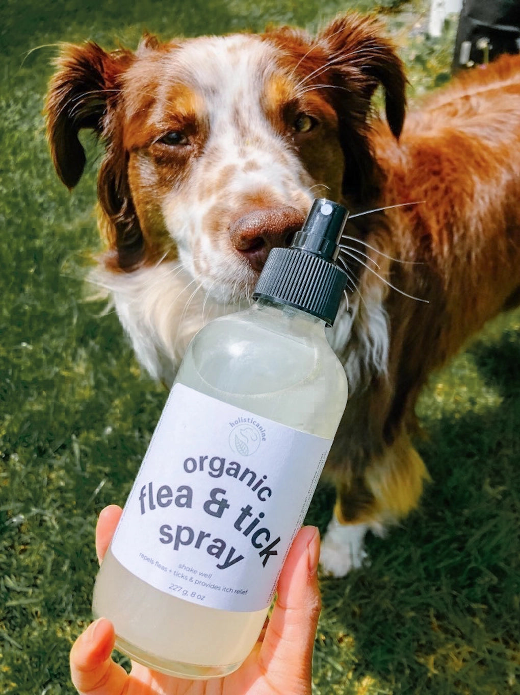 Holisticanine Organic Flea & Tick Spray