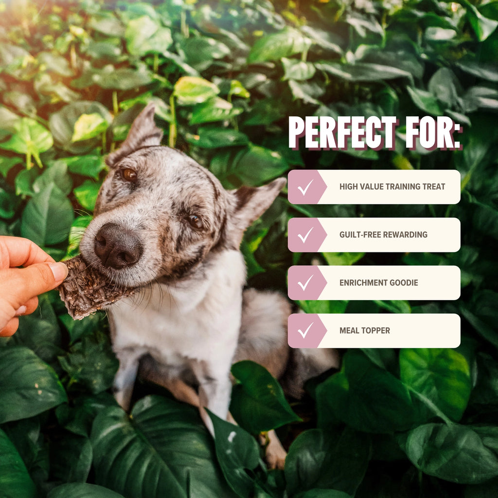 Ryōken Instinct Lamb Mini Training Treats For Dogs