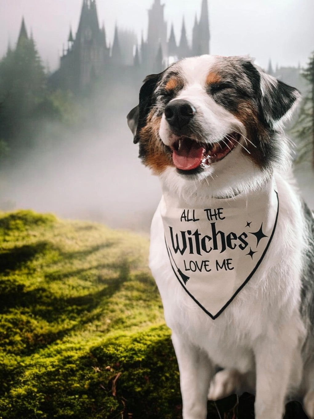 Boneyard Co "All the Witches" Dog Bandana