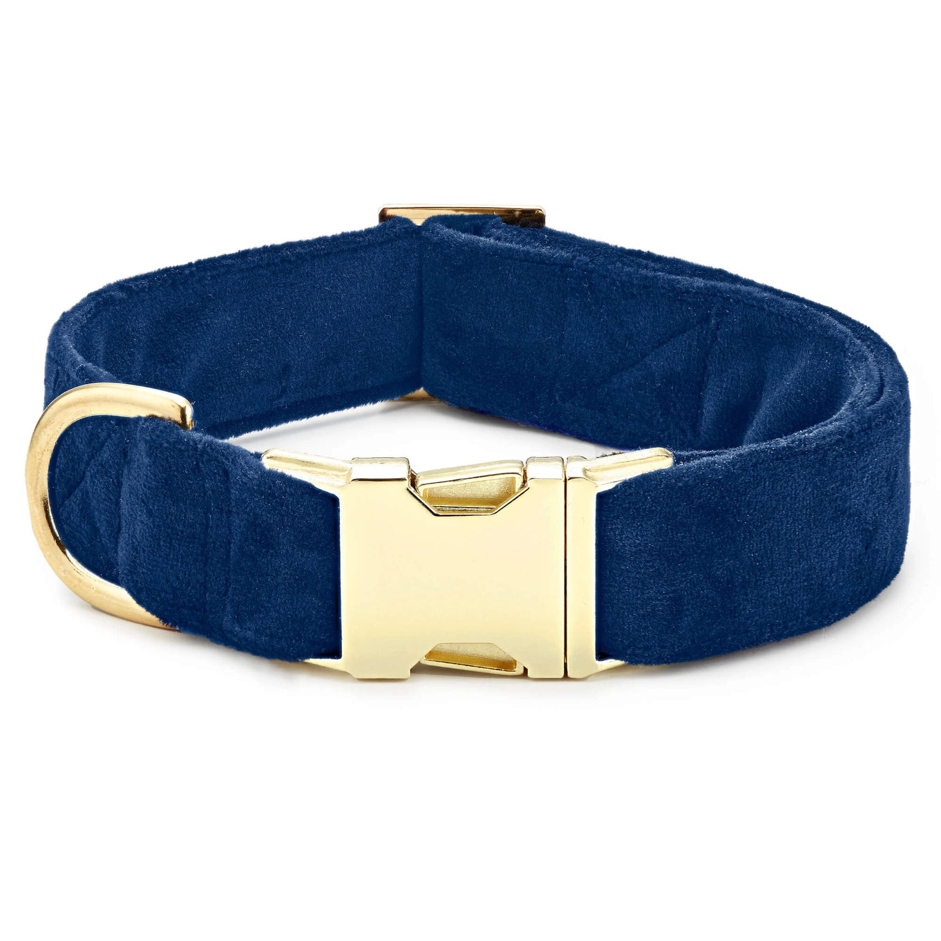 The Foggy Dog Velvet Collar