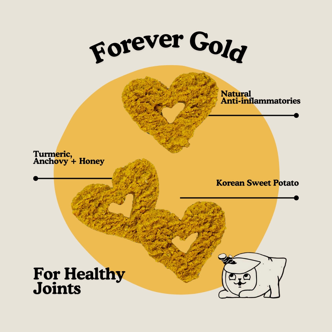 Gogoma Turmeric + Anchovy Dog Treat For Mobility