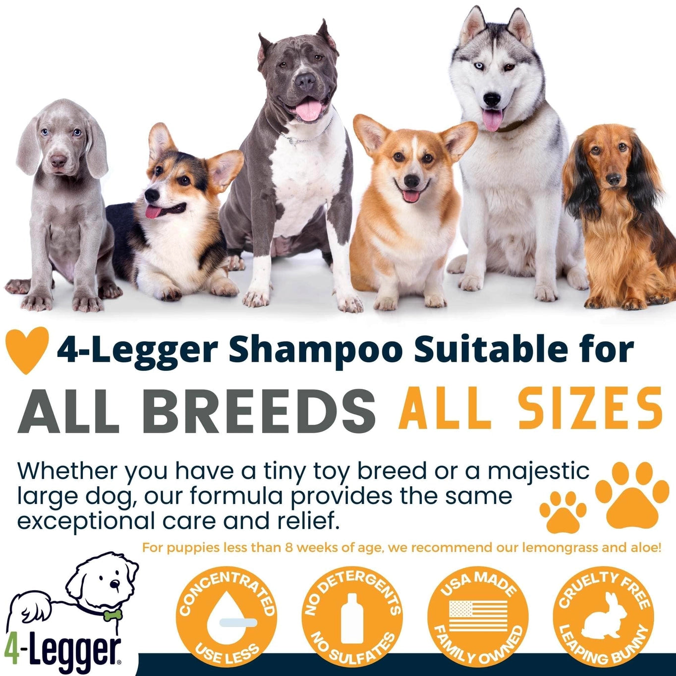 4-Legger Revitalize Organic Neem Dog Shampoo and Orange Essential Oil