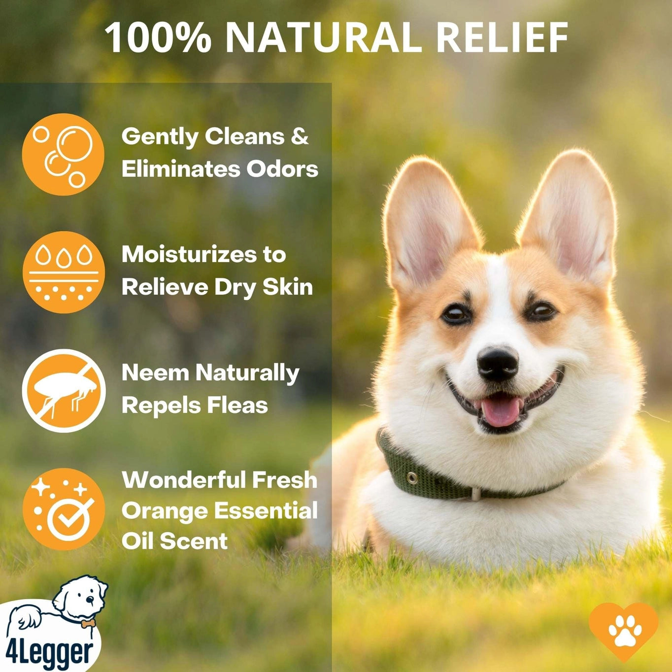 4-Legger Revitalize Organic Neem Dog Shampoo and Orange Essential Oil