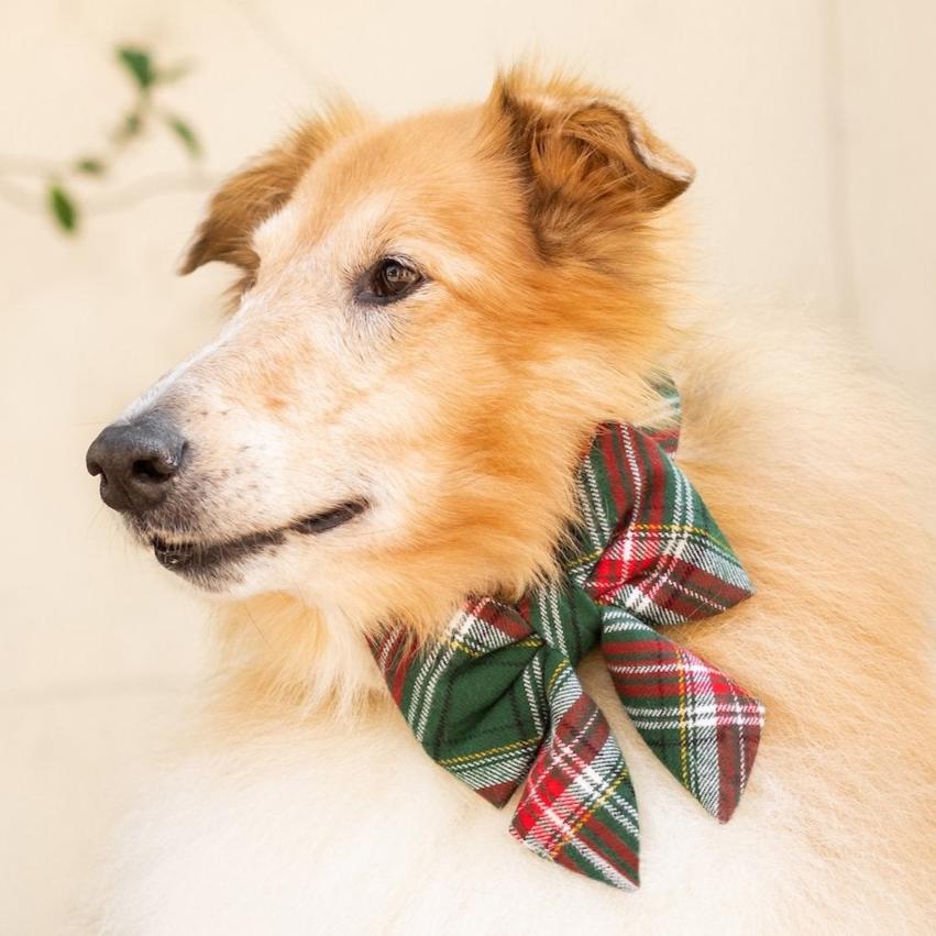 The Foggy Dog Holly Jolly Plaid Flannel Lady Dog Bow