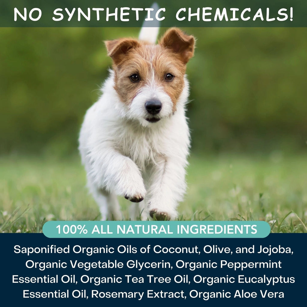 4-Legger Cooling Organic Tea Tree Oil Dog Shampoo For Itchy Skin