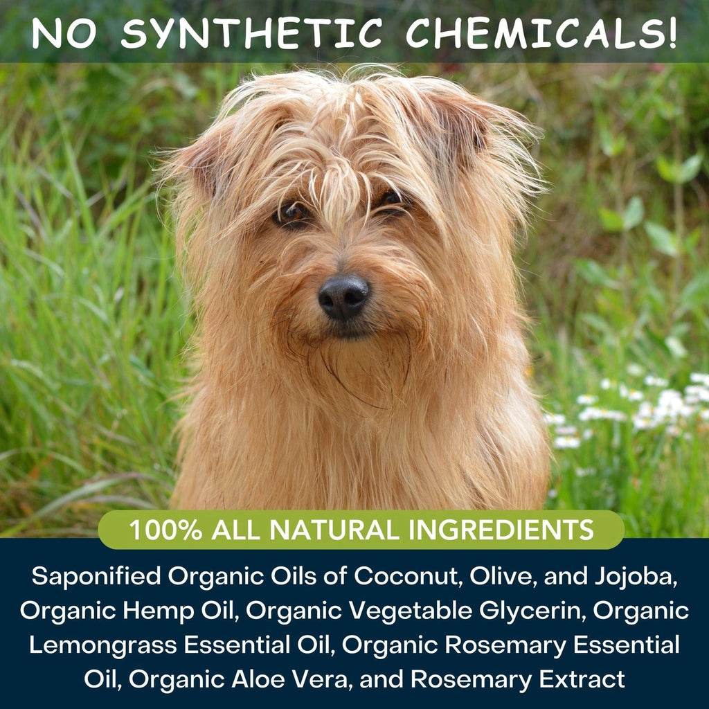 4-Legger Moisturize Organic Hemp Dog Shampoo with Lemongrass