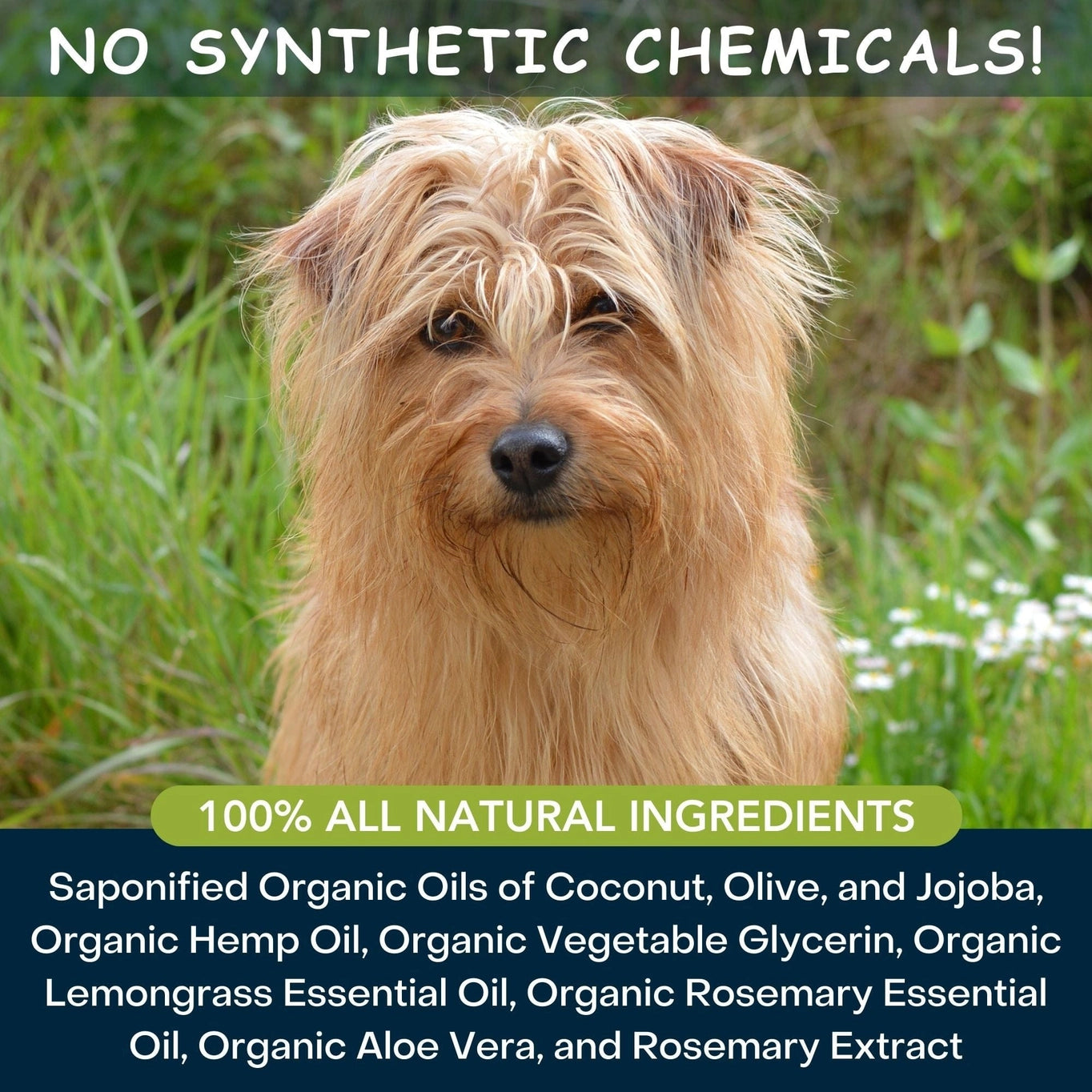 4-Legger Moisturize Organic Hemp Dog Shampoo with Lemongrass
