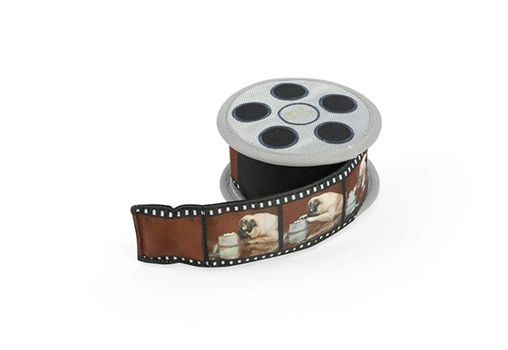 PLAY Pet Brand - Momo’S Movie Reel