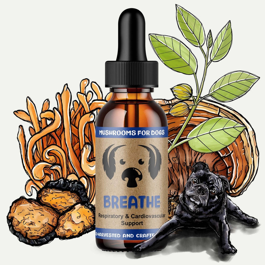 Mycodog Breathe – Mushroom Tincture For Dogs | Respiratory Support