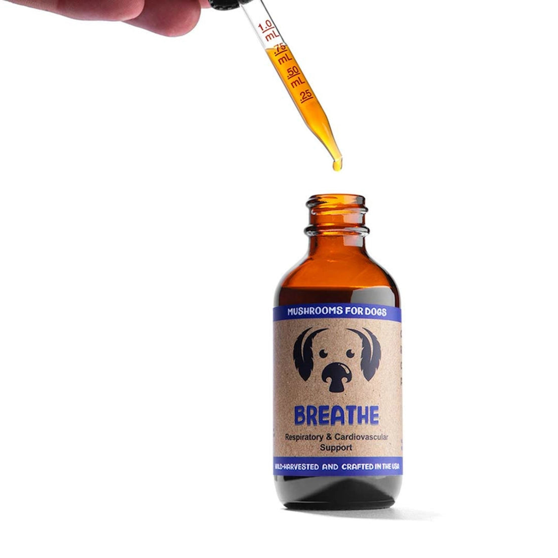 Mycodog Breathe – Mushroom Tincture For Dogs | Respiratory Support