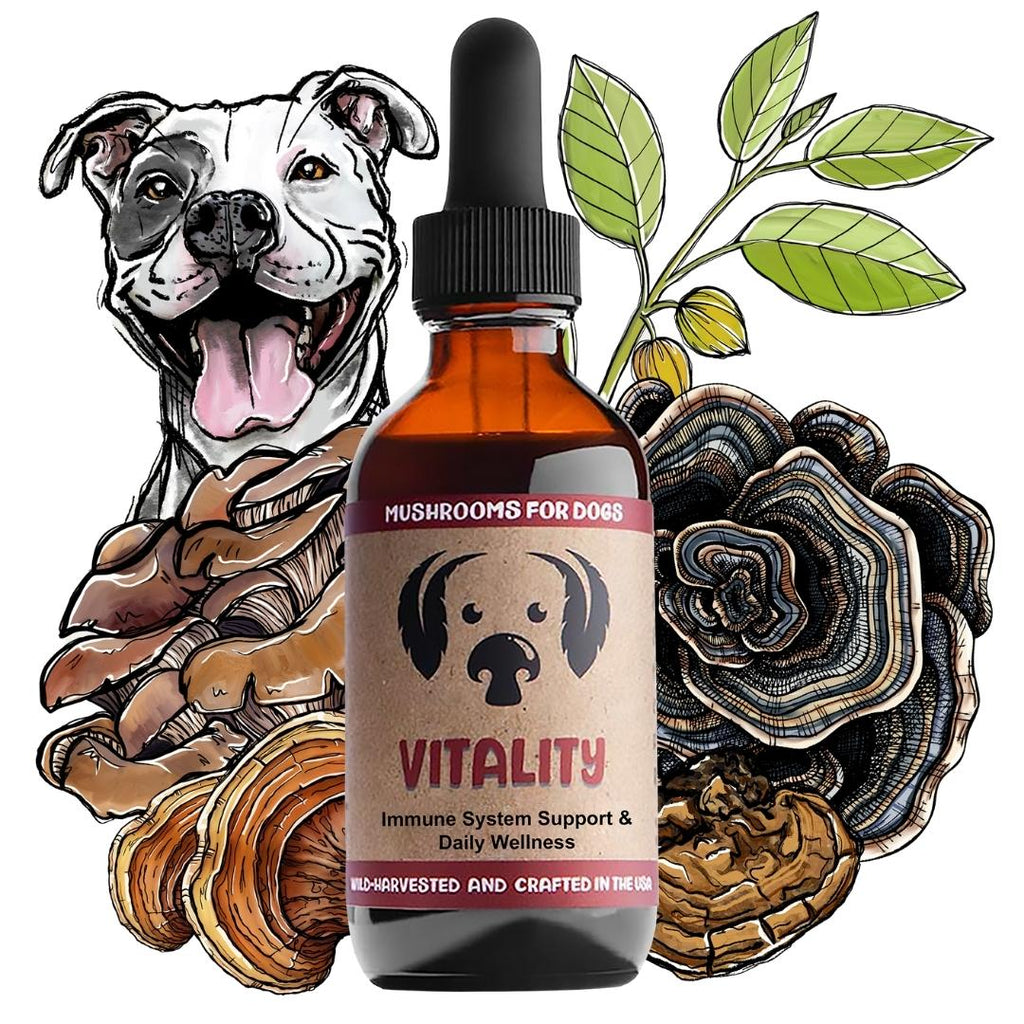 Mycodog Vitality – Mushroom Tincture For Dogs | Immune Support