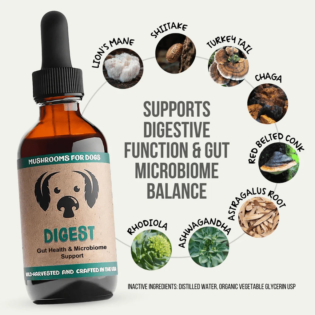 Mycodog Digest – Mushroom Tincture For Dogs | Digestive Support