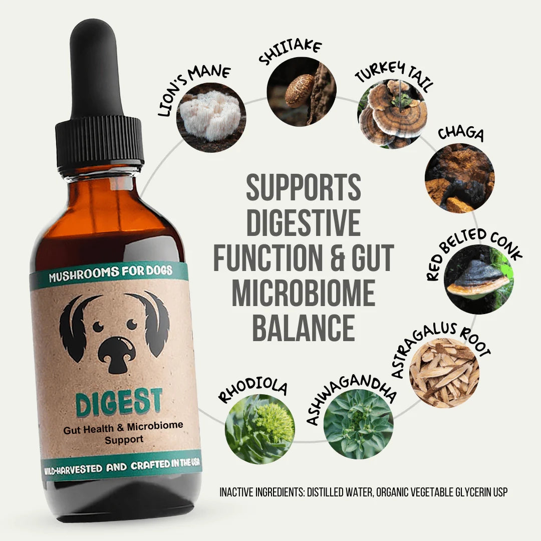 Mycodog Digest – Mushroom Tincture For Dogs | Digestive Support