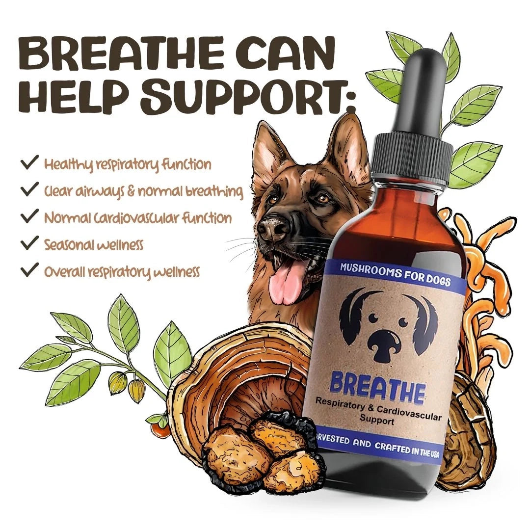 Mycodog Breathe – Mushroom Tincture For Dogs | Respiratory Support