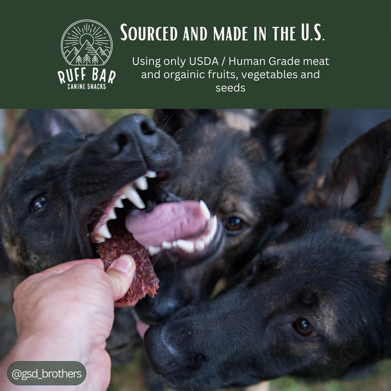 Ruff Bar Pork Ruff Bars - the First Protein Adventure Bar For Dogs