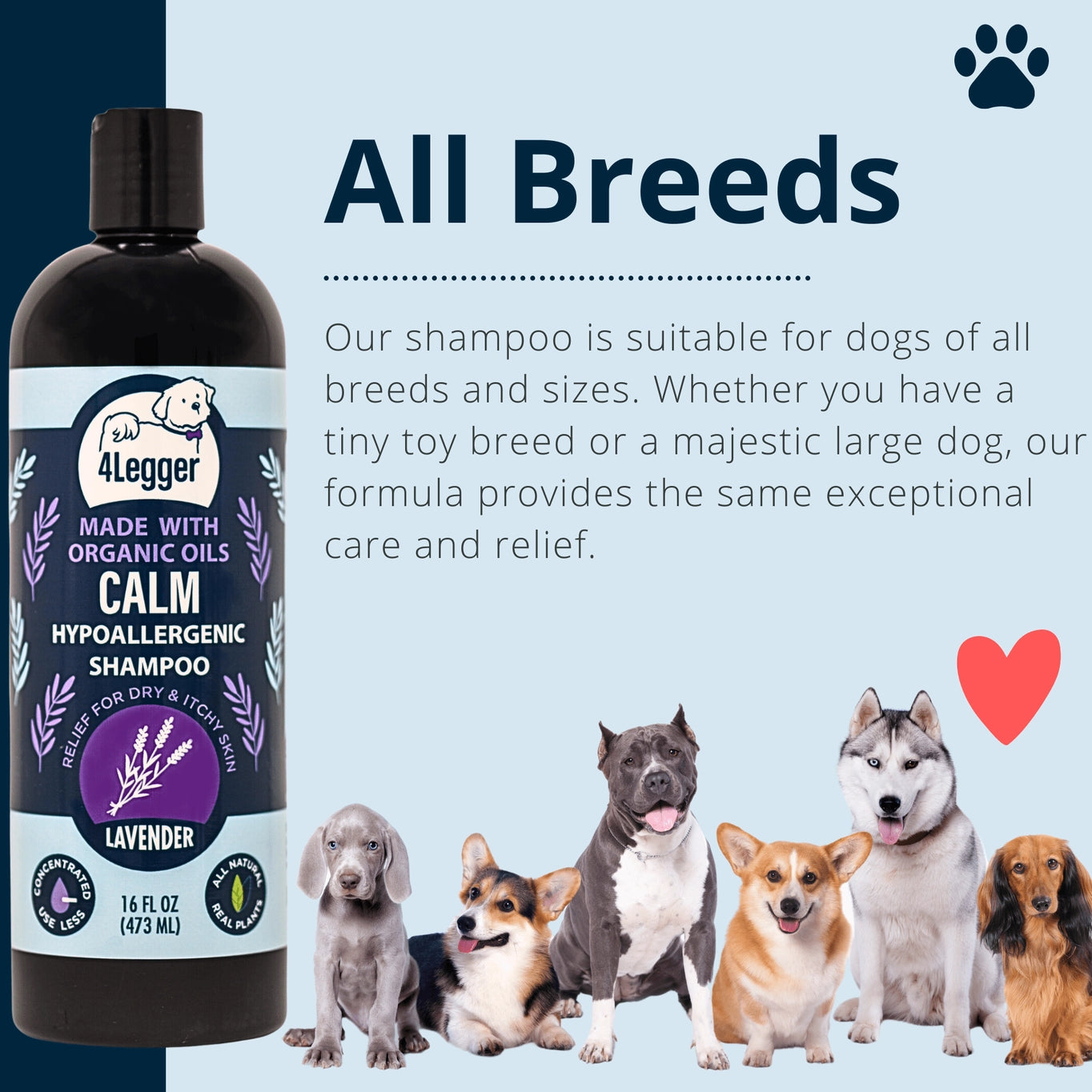 4-Legger Calm Organic Lavender Natural Dog Shampoo with Calendula