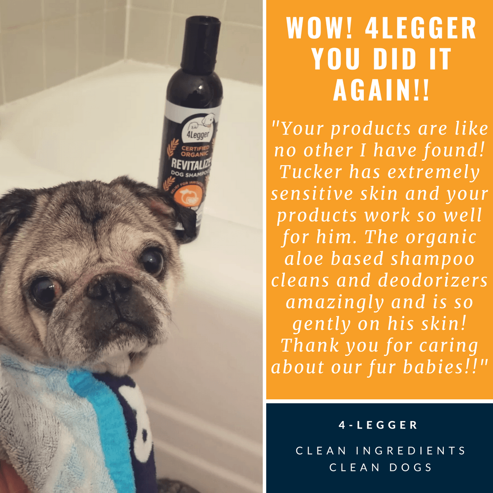 4-Legger Revitalize Organic Neem Dog Shampoo and Orange Essential Oil