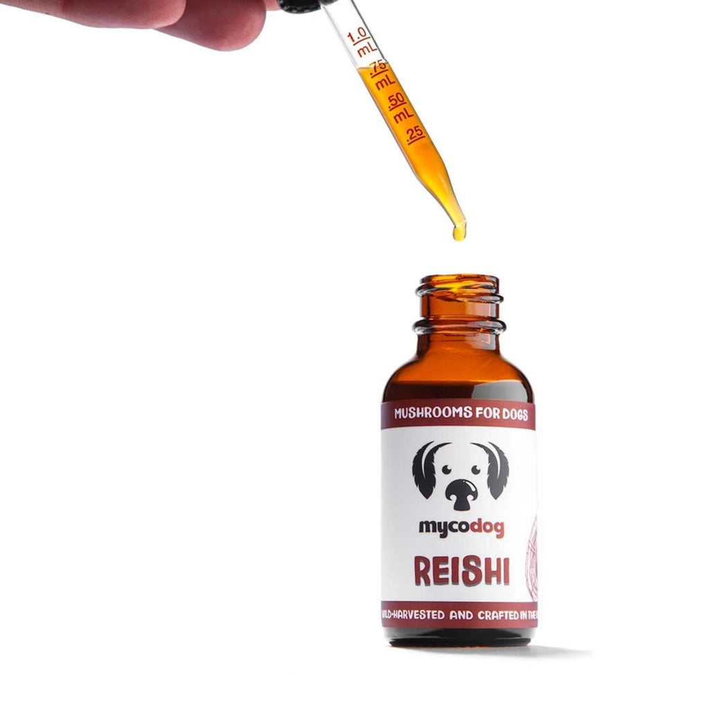 Mycodog Reishi Mushroom Tincture For Dogs | Emotional Balance