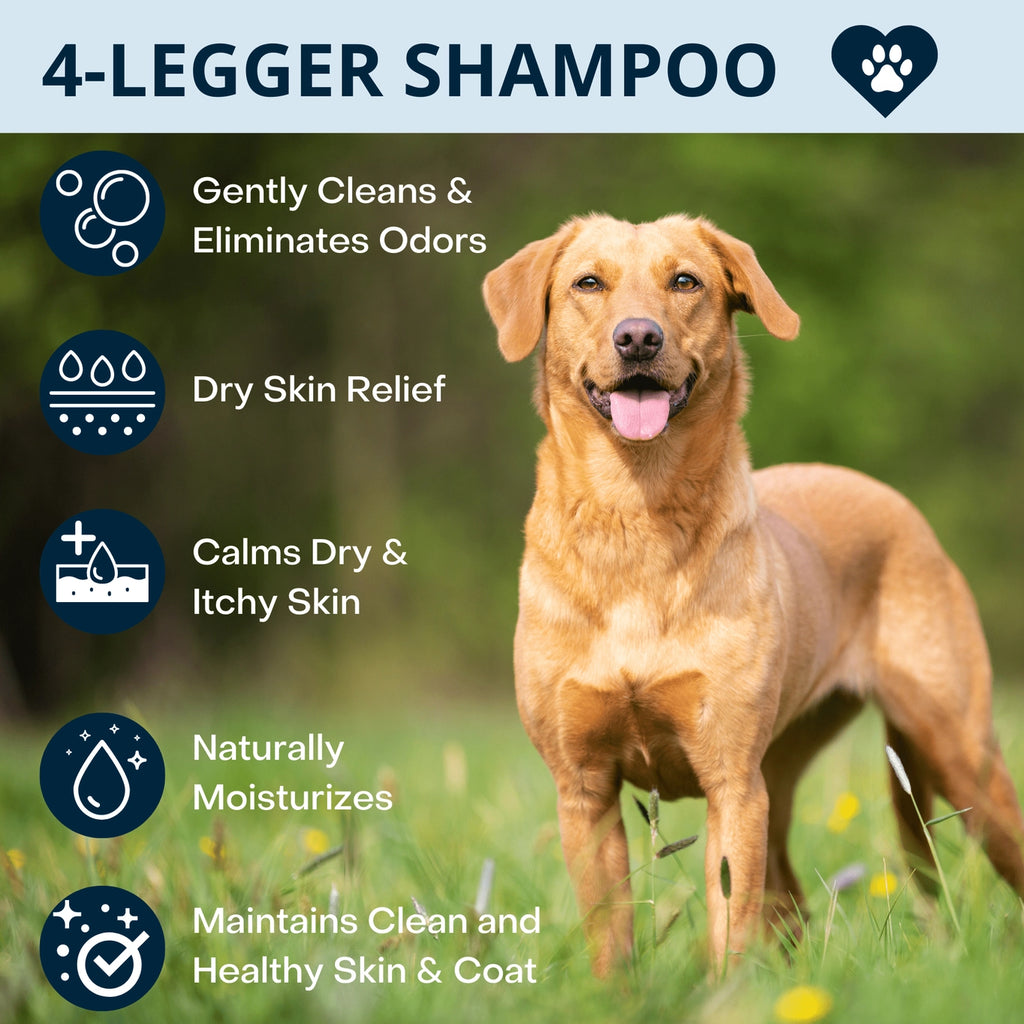 4-Legger Calm Organic Lavender Natural Dog Shampoo with Calendula
