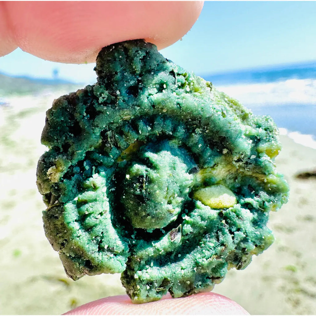 Fur Monster Goodies Organic Green Apple Superfood Dog Cookie: Baked Treat