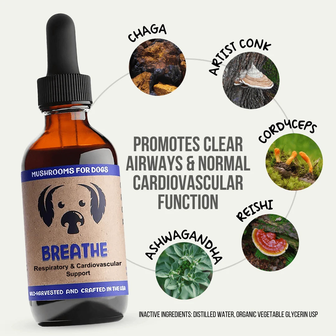 Mycodog Breathe – Mushroom Tincture For Dogs | Respiratory Support